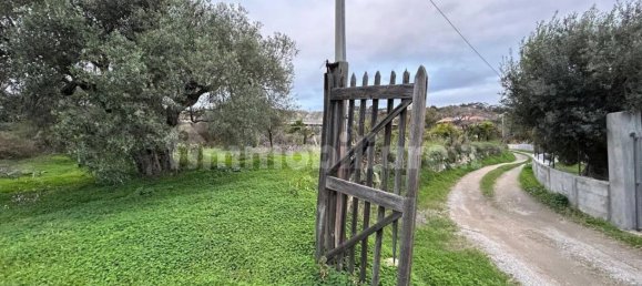  قطعة أرض في Roccella Ionica, Italy 2280متر مربع رقم 343593 2
