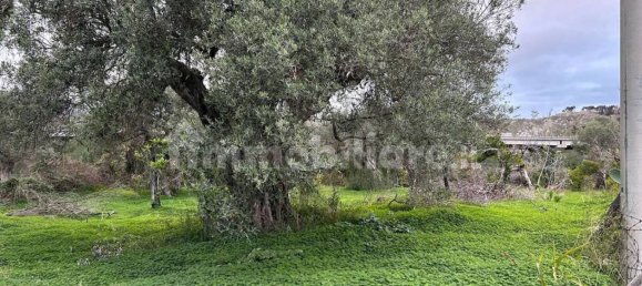  قطعة أرض في Roccella Ionica, Italy 2280متر مربع رقم 343593 3