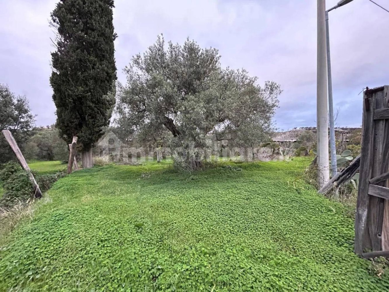  قطعة أرض في Roccella Ionica, Italy 2280متر مربع رقم 343593