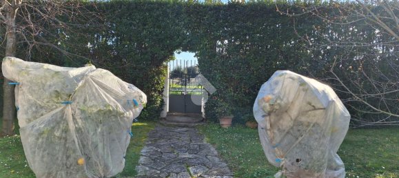 Villa de 13 divisões em Vecchiano, Italy N.º 3551 17