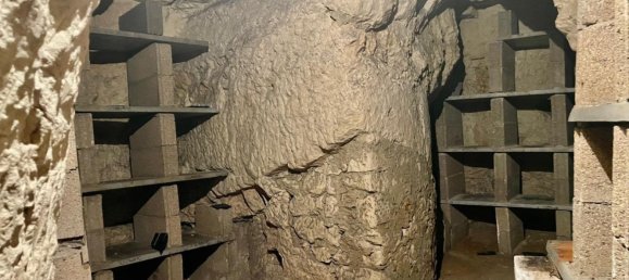  عقار تجاري في Sainte-Maure-de-Touraine, France 180متر مربع رقم 220433 6