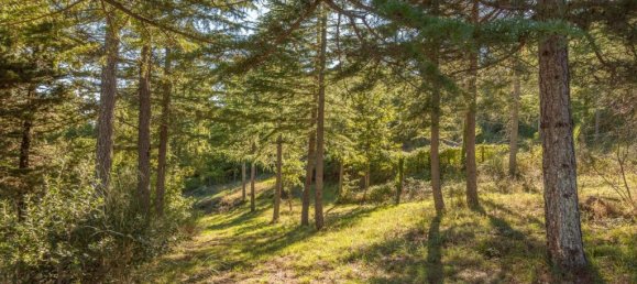 3 Schlafzimmer Haus in Cetona, Italy, Nr. 54075 19
