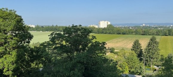 Apartamento de 1 dormitorio en Mainz, Germany No. 221658 14