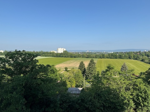 Apartamento de 1 dormitorio en Mainz, Germany No. 221658