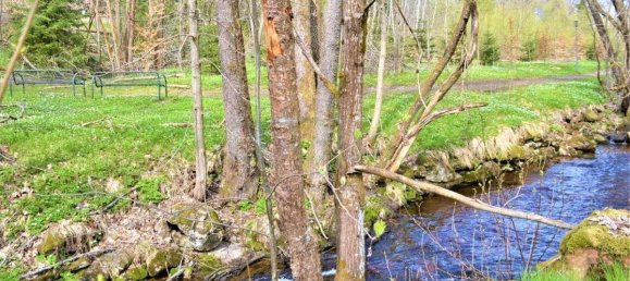 Земельный участок в Фрайунг-Графенау, Германия № 344266 2