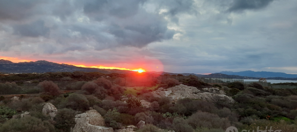 5 rooms Apartment in La Maddalena, Italy No. 251138 3