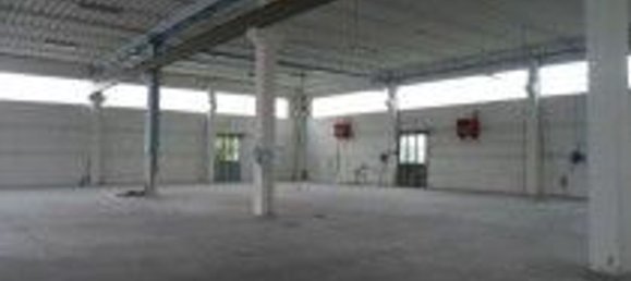 Lagerhaus in Capannori, Italy 1500m², Nr. 62735 12