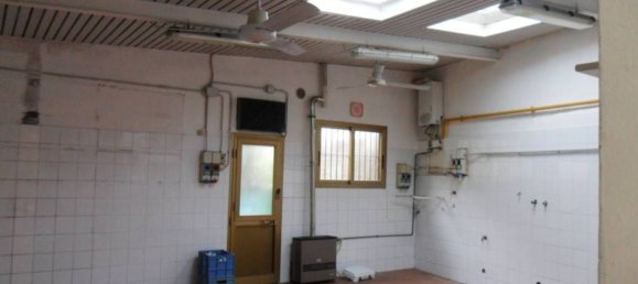 Lagerhaus in Capannori, Italy 1500m², Nr. 62735 2