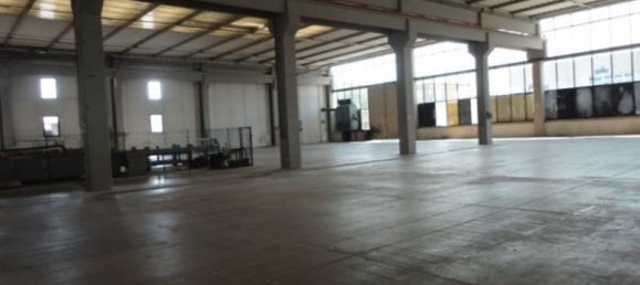 Lagerhaus in Capannori, Italy 1500m², Nr. 62735 9