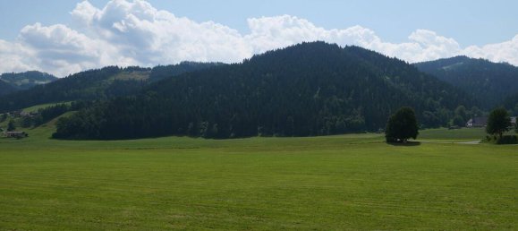 Квартира с 2 комнатами в Мурталь, Австрия № 39041 2