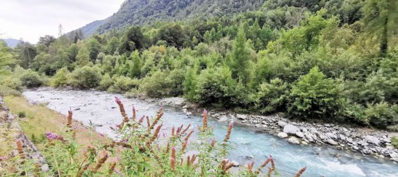 15 bedrooms Villa in Ceres, Italy No. 363710 6