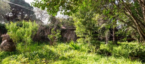 6 bedrooms House in Cascais, Portugal No. 119931 24