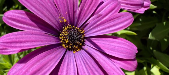 2 bedrooms Apartment in Lloret de Mar, Spain No. 189460 8