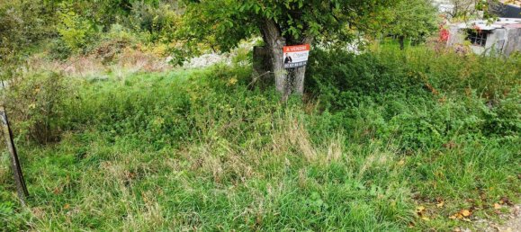 1331m² Land in Houdelmont, France No. 214167 7