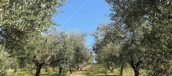 Земельный участок 4065м² в Поджо Катино, Италия № 29839 2