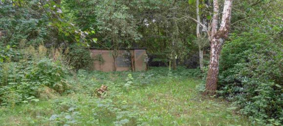 5-salle Maison à Plon, Germany No. 358968 17