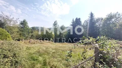  Land in Eichgraben, Austria No. 125006