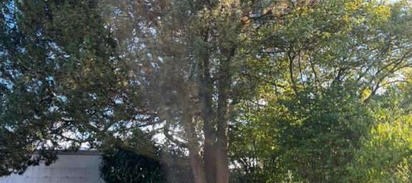 4 rooms Bungalow in Hanover, Germany No. 305022 12