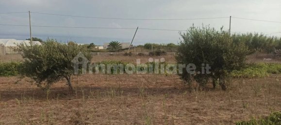 4 Schlafzimmer Haus in Pachino, Italy, Nr. 67891 18