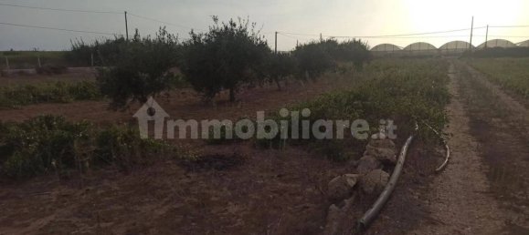 4 Schlafzimmer Haus in Pachino, Italy, Nr. 67891 15