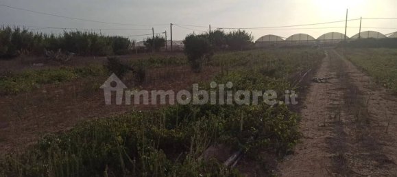 4 Schlafzimmer Haus in Pachino, Italy, Nr. 67891 17