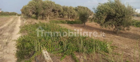 4 Schlafzimmer Haus in Pachino, Italy, Nr. 67891 19