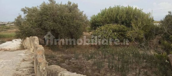 4 Schlafzimmer Haus in Pachino, Italy, Nr. 67891 7