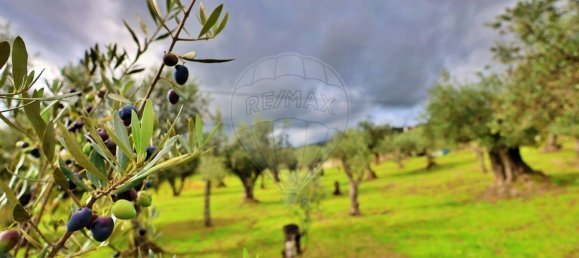 4 bedrooms House in Guarda, Portugal No. 27793 36