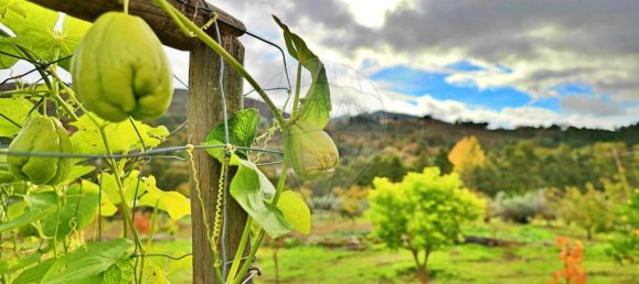 4 bedrooms House in Guarda, Portugal No. 27793 40