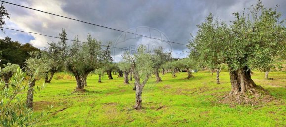 4 bedrooms House in Guarda, Portugal No. 27793 37