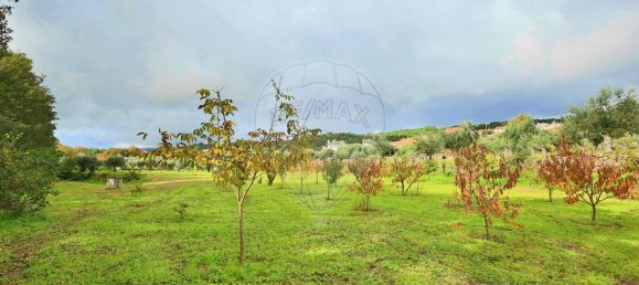 4 bedrooms House in Guarda, Portugal No. 27793 38