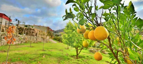 4 bedrooms House in Guarda, Portugal No. 27793 39