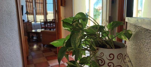 3 bedrooms House in Cadiz, Spain No. 147972 24