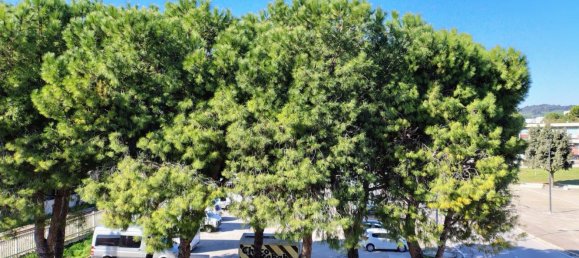 4-Zimmer Wohnung in Civitanova Marche, Italy, Nr. 141063 36