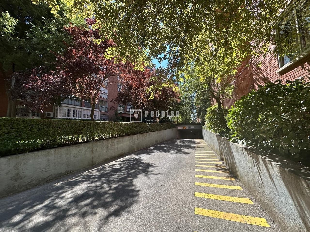  Parking in Madrid, Spain No. 250035