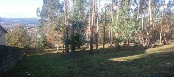 11120m² Land in Vila Verde, Portugal No. 31172 2