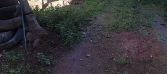  قطعة أرض في Ciudad Real, Spain 248متر مربع رقم 164654 2