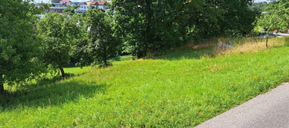 قطعة أرض في Walding, Austria 992متر مربع رقم 215343 7