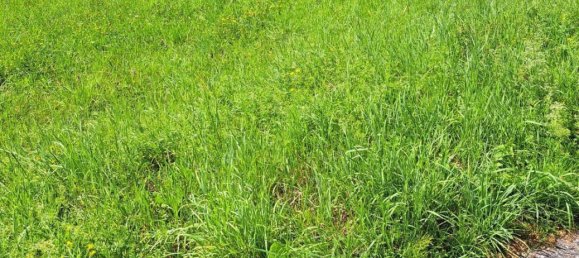 قطعة أرض في Walding, Austria 992متر مربع رقم 215343 8