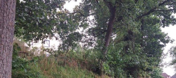 قطعة أرض في Walding, Austria 992متر مربع رقم 215343 4