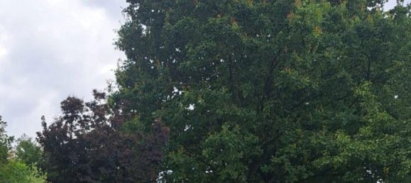 قطعة أرض في Walding, Austria 992متر مربع رقم 215343 3