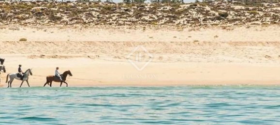 4 غرف نوم قطعة أرض في Grandola, Portugal رقم 110907 14