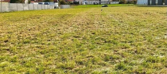 Terrain à Lichtenfels, Germany No. 71382 4