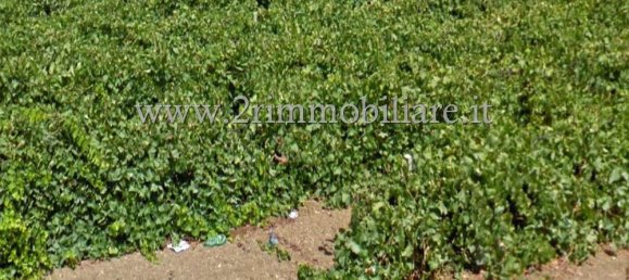 1-Zimmer Grundstück in Mazara del Vallo, Italy, Nr. 133293 2