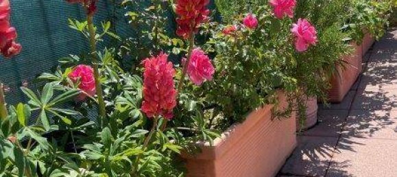 4-Zimmer Wohnung in Leopoldstadt, Austria, Nr. 177676 29