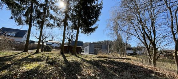  Land in Tirschenreuth, Germany No. 33824 7