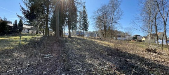  Land in Tirschenreuth, Germany No. 33824 11