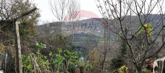 3 Schlafzimmer Haus in Baiao, Portugal, Nr. 173783 10