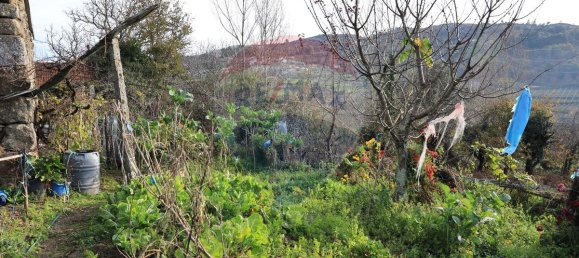 3 Schlafzimmer Haus in Baiao, Portugal, Nr. 173783 9