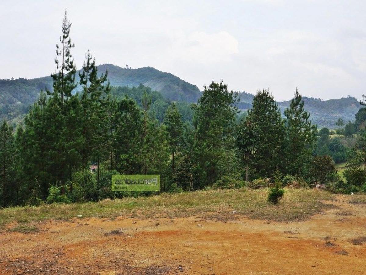 Terrain à Antioquia, Colombia No. 682